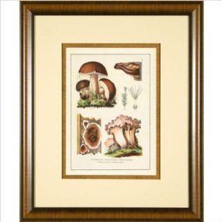 Phoenix Galleries HP875 Antique Mushrooms 1 Framed Print