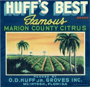 Huffs Best Vintage Citrus Label McIntosh Florida
