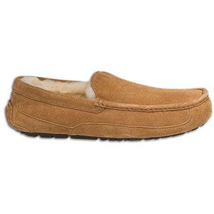 UGG Ascot   Mens   Casual   Shoes   Chestnut