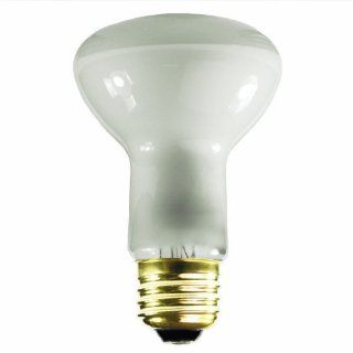  Base   Incandescent Light Bulb   Litetronics L 121