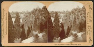 Hunnewells Grounds Wellesley MA Stereoview 1899