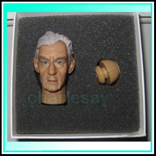 Head Play Figure Sculpt Ian McKellen Magneto x Men
