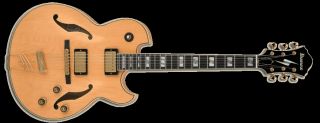 Ibanez PM120 NT Pat Metheny Signature Thin Line Hollow Body Electric