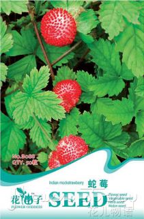  Seeds Red Indian Mock Strawberry Seeds Organic Delicious Food