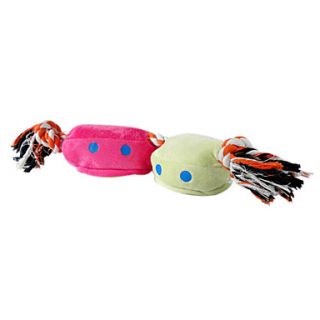 Zug Spotting quietschende Spielzeug für Hunde (45 cm, Farbe zufällig