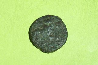 Ancient Greek Coin Lion Ionia Miletus 250 190 Apollo Mythology Antique