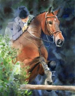 Original Hunter Jumper Horse Equestrian Art Painting