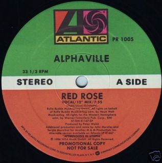 Italo Disco 12 Promo Alphaville Red Rose