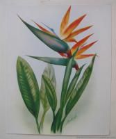 Original Vintage Floral Prints by Ted Mundorff from 1st Ed Old