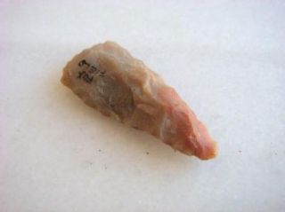 Arrowhead That Was Found in Fox Field Kentucky Old Indian Artifact