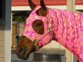 Custom Made Embroidered Horse Stretch Hood Sleazy Comes with Tailbag