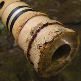 Jon Kypros 1 8 "D4" Root End Madake Shakuhachi Japanese Bamboo Flute  