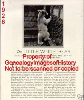 Ursus Kermodei Pygmy White Polar Bear 1926
