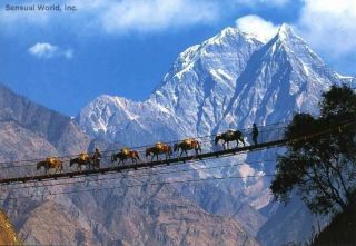 Kali Gandaki Annapurna Nepal Supension Bridge Postcard
