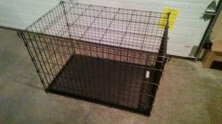36 Dog Crate Wire Collapsible Training Kennel