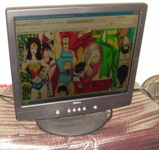 Dell E171FPB 17 Flat Panel LCD Monitor w Video Cable