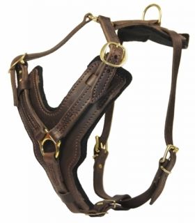 The Victory Pro Leather Dog Harness with Strong Buckles Great for