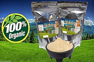 Canary Seed Milk Powder Leche de Alpiste En Polvo Dietary Supplement