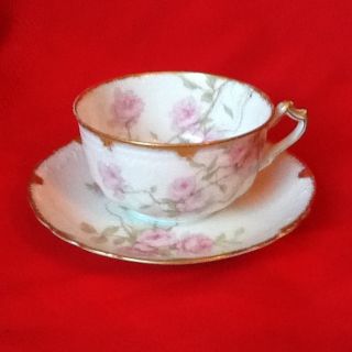 Beautiful Haviland Baltimore Rose Teacup with Saucer
