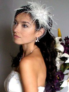IVORY Birdcage VEIL & BROOCH FASCINATOR Hair Clip Bridal Wedding