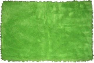 Lime Green 39x58 Area Rug and Carpet Child Teen Dorm