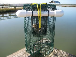 LIVE BAIT MATE AWESOME NEW MULTI BAIT FLOATING BAIT CAGE PATENT