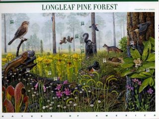 Longleaf Pine Forest 10 x 34 Cent US Stamps 3611 New