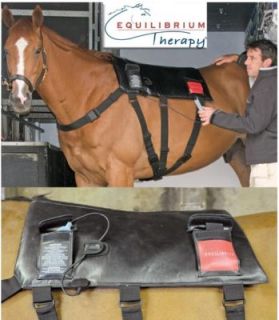 Equilibrium Equine Therapy Massage Pad Therapeutic One Size