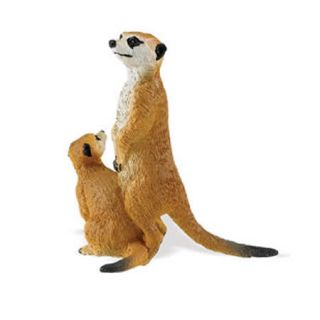 New Meerkats Wild Safari Wildlife Safari 227929