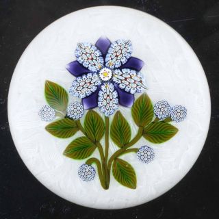 Peter McDougall Blue Millefiori Flower on Lace L E