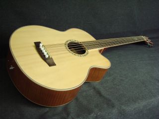 Michael Kelly Firefly 5 string Acoustic Bass Guitar Nostalgia w