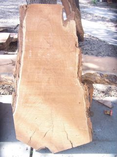 Mesquite Slab Exotic Wood Lumber 43 x 23 x 2 75