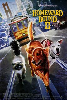 Bound II Lost in San Francisco Movie Poster 1996 Michael J Fox