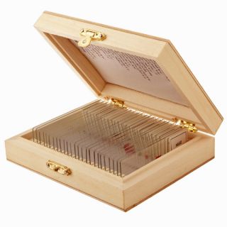 Science Prepared Microscope Slides with Wooden Storage Boox