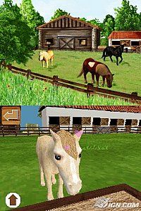 Discovery Kids Pony Paradise Nintendo DS, 2009