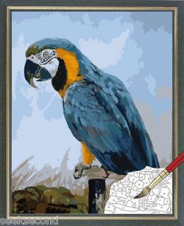 Unstretched Paint by Number kit 50x40cm (20x16) Parrot Home Deco
