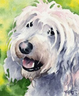 COCKAPOO Dog Painting ART 11 X 14 LARGE Signed DJR