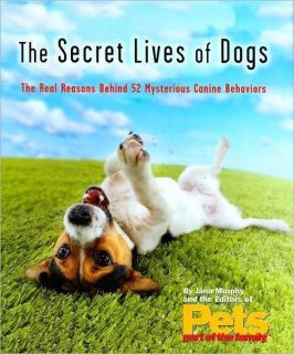 SECRET LIVES OF DOGS Real Reasons Behind 52 Strange MYSTERIOUS CANINE