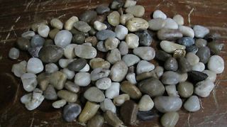 Aqua Pebbles / Shells / Nuggets decorative POLISHED stones for