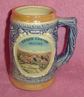 Grand Canyon Arizona Collectible Souvenier Glass Beer Stein Mug