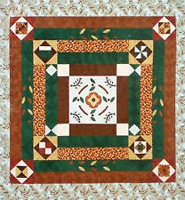 12 Blocks Joann Quilt of the Month Arbor Lane Very Pretty Quilt, no