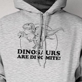 Are Dino Mite Dynamite Funny School Science Hoodie Hooded Sweat Shirt