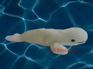 Plush Stuffed Animal Ocean White Beluga Whale Porpoise Sea Canary 10
