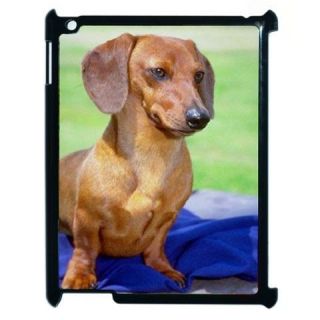 DACHSHUND DOG PUPPIES APPLE IPAD 2 TABLET COMPUTER BLACK COVER CASE