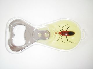 Insect Bottle Opener(small)   Red Bug Specimen (Glow)