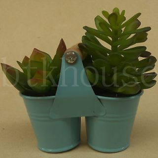 Mini Cactus and Succulent in 2 Metal Pots Home Decor Silk Flower