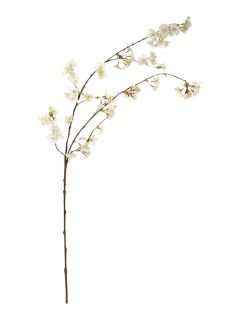 Linea Cherry Blossom Branch From 