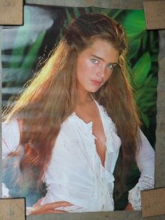 Movie Poster Brooke Shields The Blue Lagoon 1980