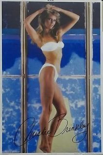 Christie Brinkley 22x33 Sexy White Bikini Poster