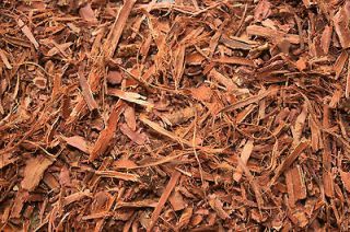 Confusa (Formosa Koa / Formsan Koa) 250 grams shredded root bark